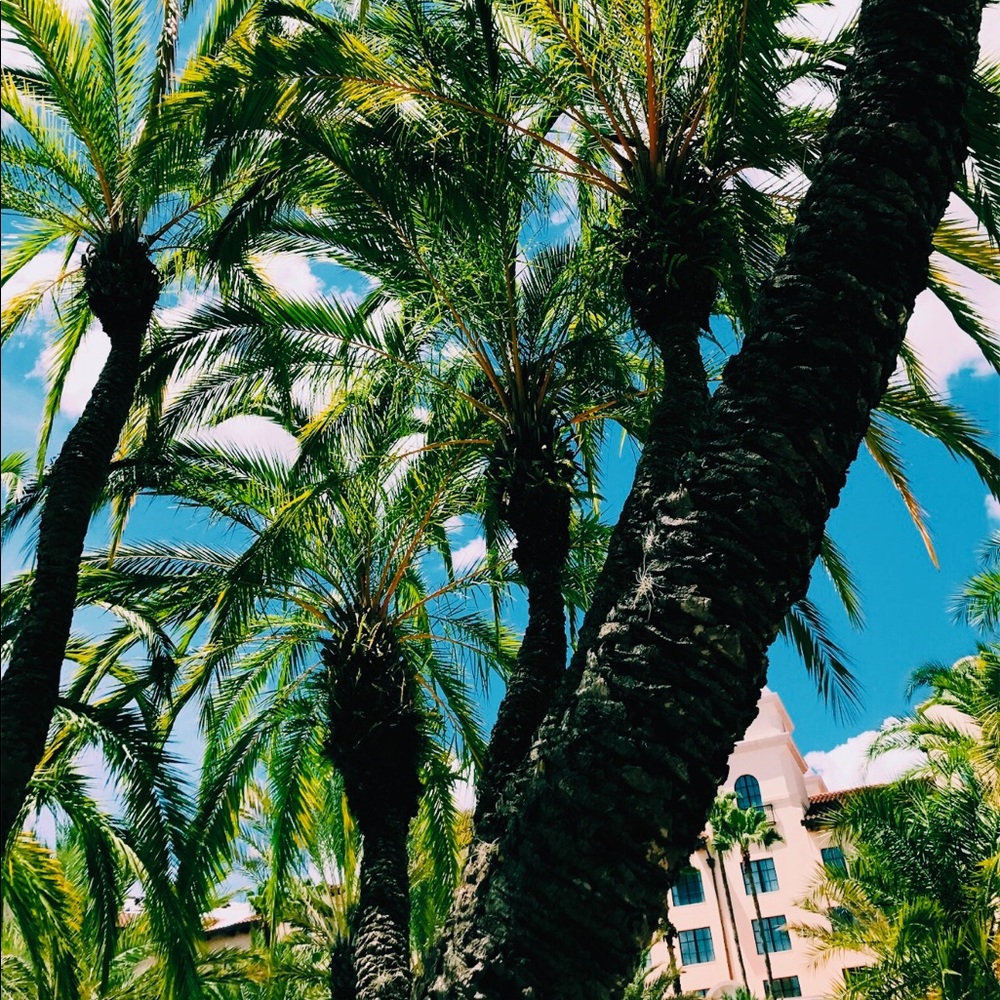 Meet your Posher, Adriana